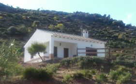La solana de turon. El pino